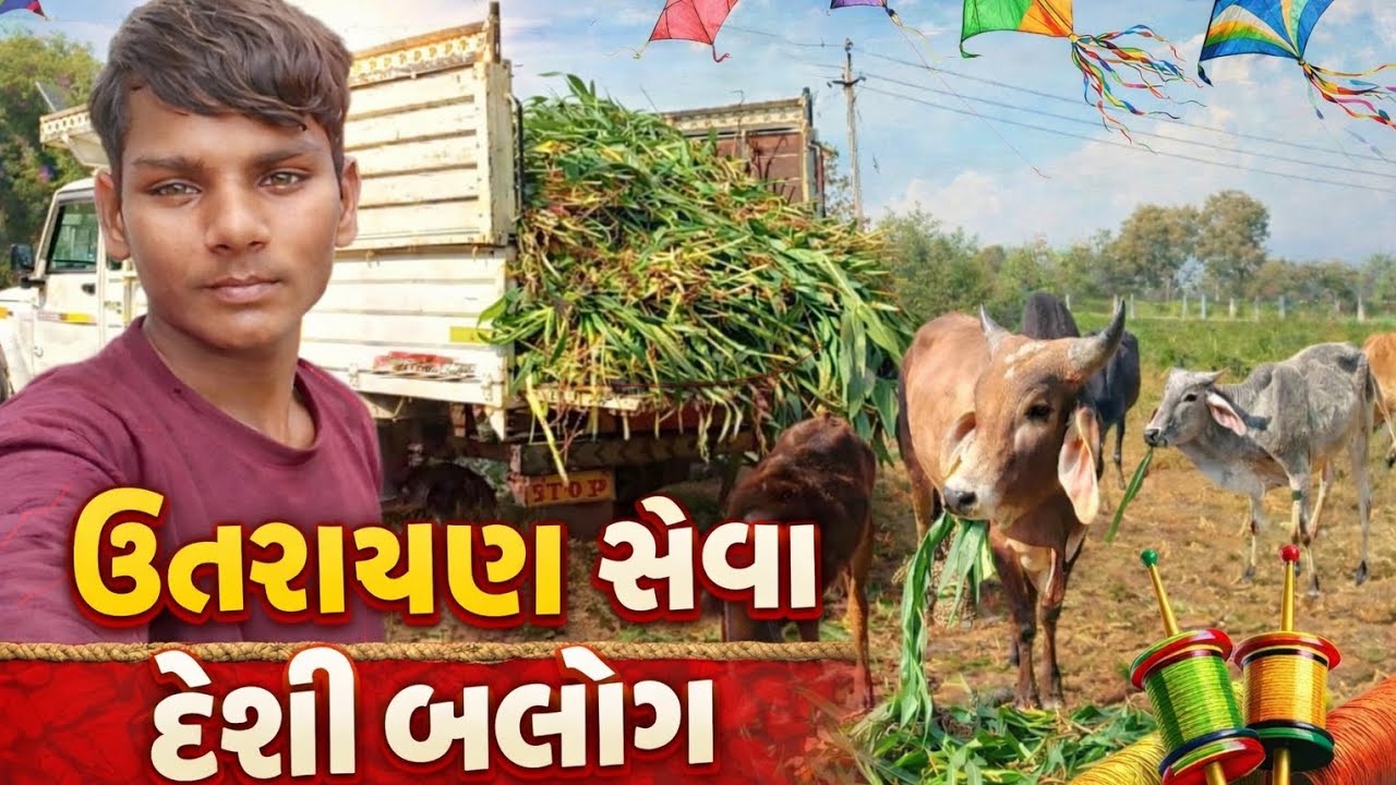 ઉતરાયણ સેવા દેશી બ્લોગ 🪁🧵👍💗