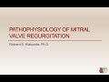 Mitral regurgitation pathophysiology