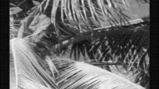 Tabu F W  Murnau, 1931