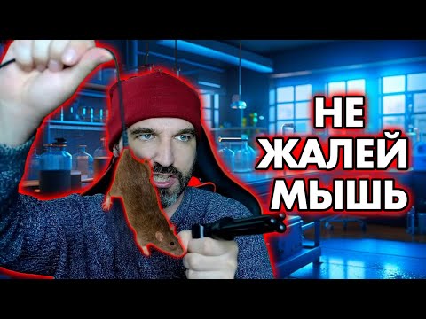 Заставляют расшибить мышь об стену, а если не можешь то...   / АНТИЖАЛОСТЬ