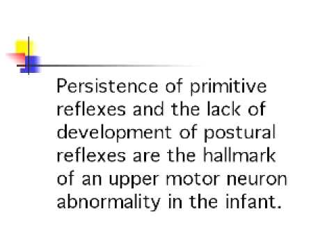 key principles of neurodevelopment