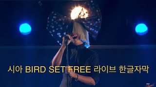 시아 BIRD SET FREE 느낌 있는 목소리, 라이브 한글자막 (Live at SXSW 2016)