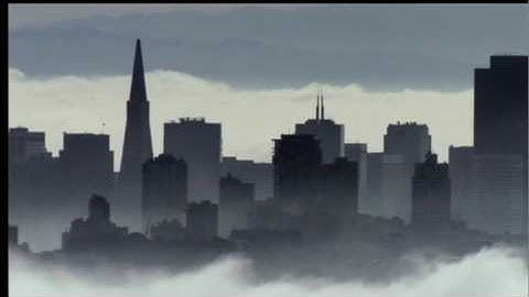 Saving the Bay