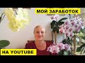 МОЙ ЗАРАБОТОК НА YOUTUBE