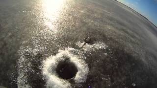 På Jakt Efter Gös Och Lite Gädda