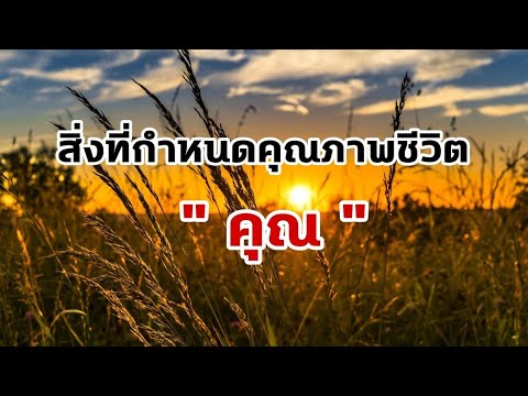 วีดีโอ: คุณจะปรับปรุงคุณภาพชีวิตของคุณได้อย่างไร