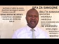 DANFORD MAHUMI ACHAMBUA TABIA ZA SANGUINE 