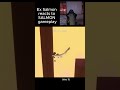 Day 3 of posting about my game #indiegame #unity3d #gamedev #indiedev #platformer
