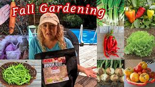 Seeds & Supplies coming in!! More Sowing too | Southern Latitudes