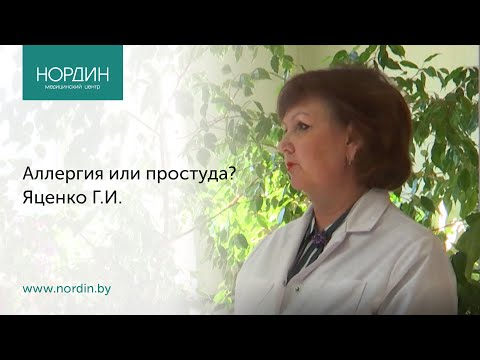 Аллергия или простуда?