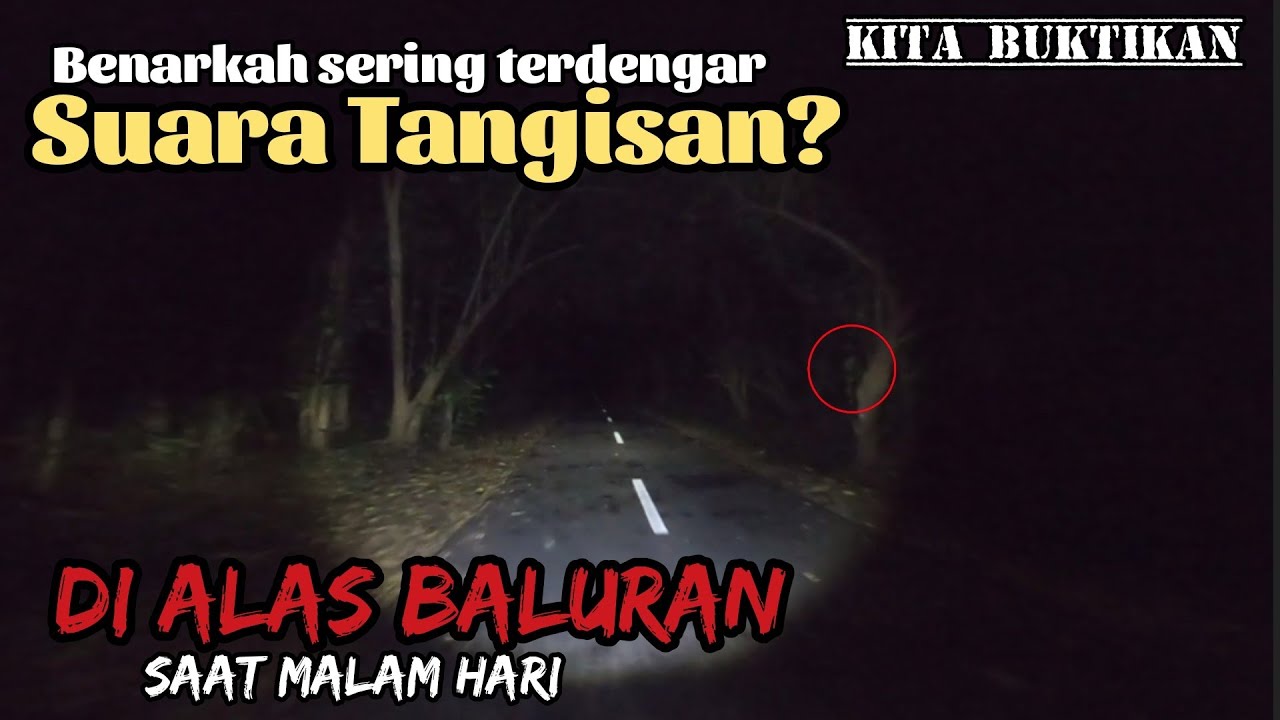Di Hentikan Petugas, Di Periksa & di Interogasi gara2 NEKAT Melintas di Alas Baluran Malam hari SEPI