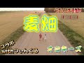 オヨネーズ/麦畑【うたスキ動画】