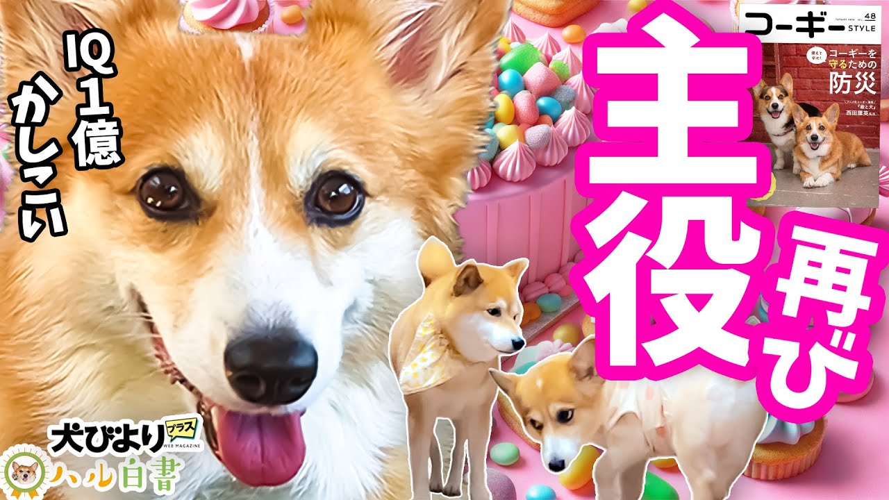 Kogista] Insatiable resistance to food waste = Lucky Cookie