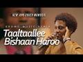Taaltaallee Bishaan Haroo Naol Bula Cover Music Abebe Abeshu