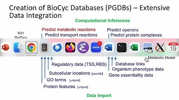 A Comparison of the BioCyc and KEGG Pathway Databases