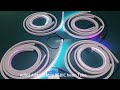 RGBIC Addressable RGB NEON Flex