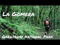 Garajonay National Park Trail | Hiking La Gomera 4K