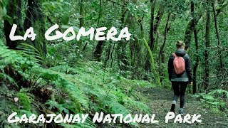 Garajonay National Park Trail | Hiking La Gomera 4K