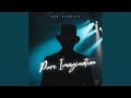 Pure imagination live