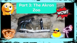 Sliding around with otters at the Akron zoo. Part 3 of the Akron Zoo Tour and sight seeing animals.