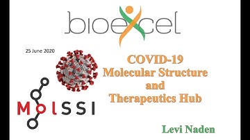 BioExcel Webinar #47: COVID-19 Molecular Structure and Therapeutics Hub