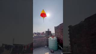 Kite Flying Kite Patang Udai