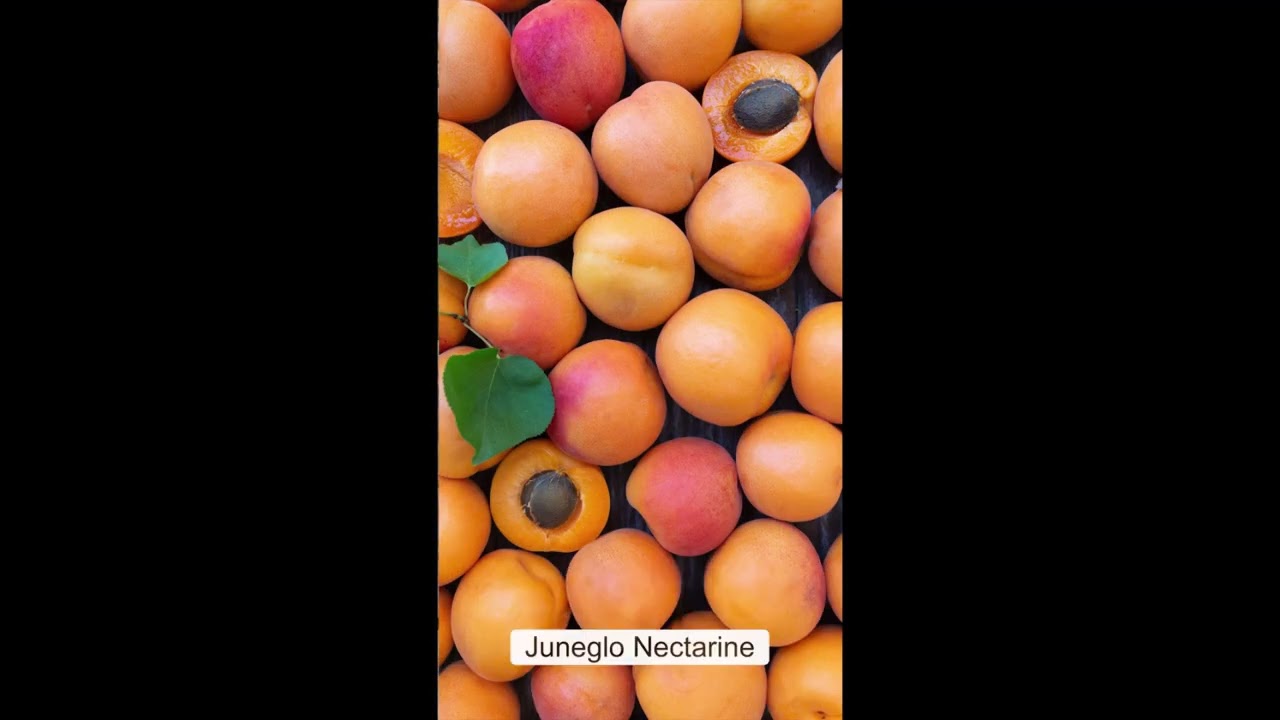 Frog Hollow Farm CSA Box - Week of June 26 2023