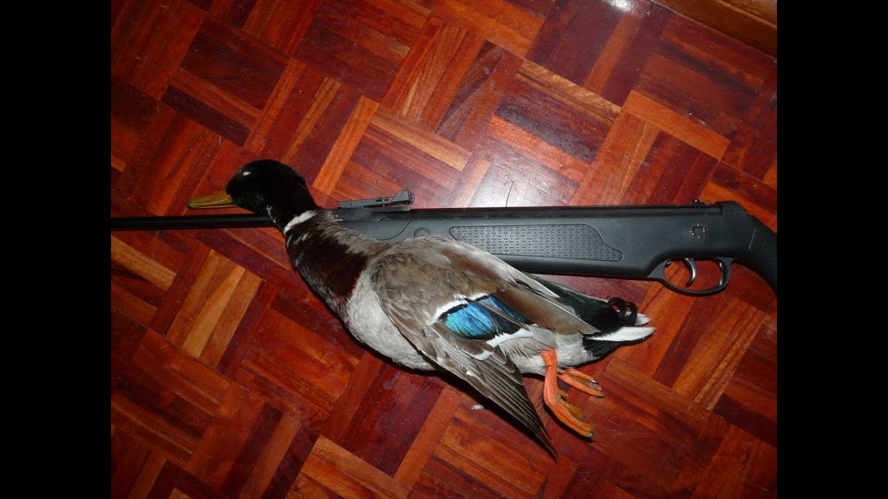 пневматика на утку