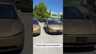 Tesla Cybercab is everywhere #fyp #viral #tesla #cybercab #robotaxi