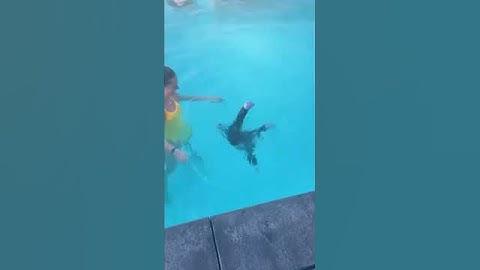 INFANT SURVIVAL SWIM LESSON | Throwing baby in