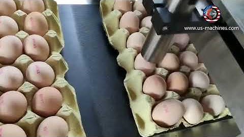 Automatic egg tray red color ink jet printing coding machine fresh egg coding machine