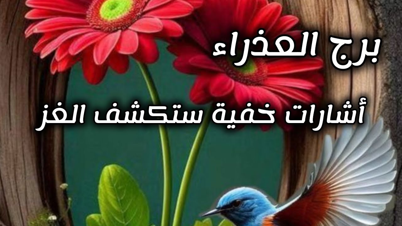 برج العذراء*ارفض⁉️⁉️ هذا العرض😵😱💥😵😱 وبسرعةة/طاقة زمنية مفتوحة للفترة القادمة يوليو2025