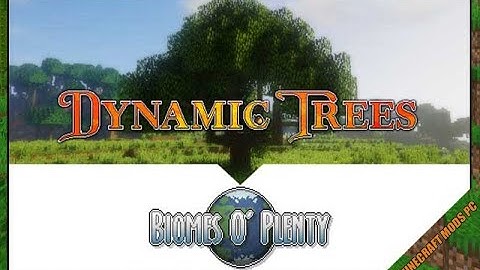 Dynamic Trees – Biomes O’ Plenty Compat Mod 1.16.5 Download - How to install it for Minecraft PC