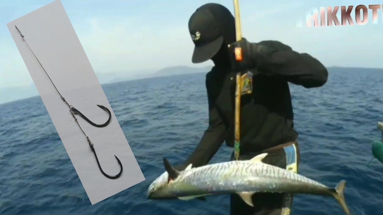 Mancing tenggiri umpan hidup (konceran)