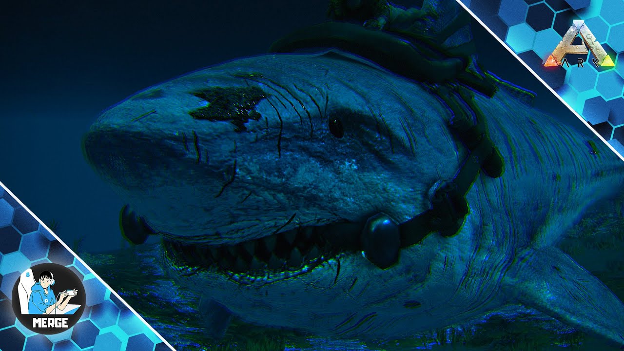 Sunt Spaima Oceanelor Acum | Ark #21