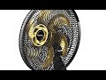 Review rápida do ventilador Mallory Chronos 40 CM com controle remoto