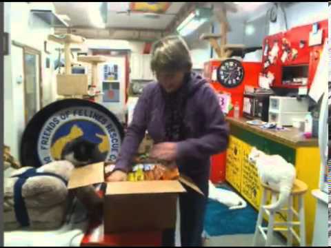 cage free vs organic eggs Boxes 1-16-2013