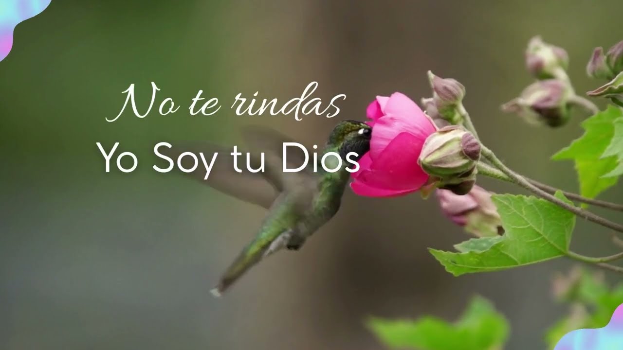 No Temas, Yo Soy tu fuerza | Isaías 43 