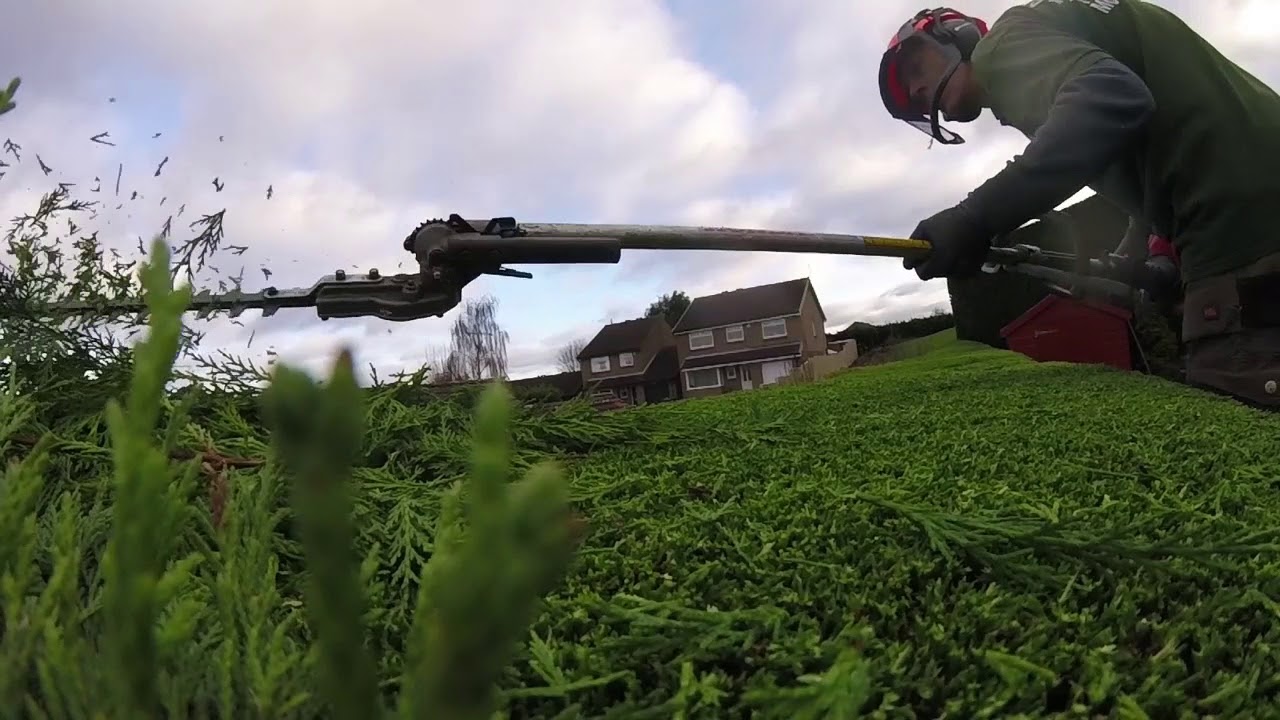 Part 2 Conifer Hedge Trimming Rotherham - YouTube