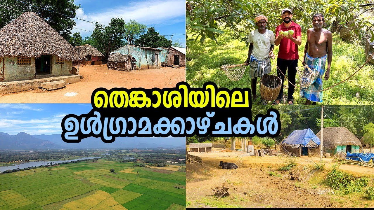 തെങ്കാശിയിലെ ഉൾ ഗ്രാമത്തിലൂടെ ഒരു യാത്ര | Tenkasi village | border chicken Tenkasi