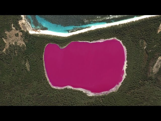 Look At This Bright Pink Lake!