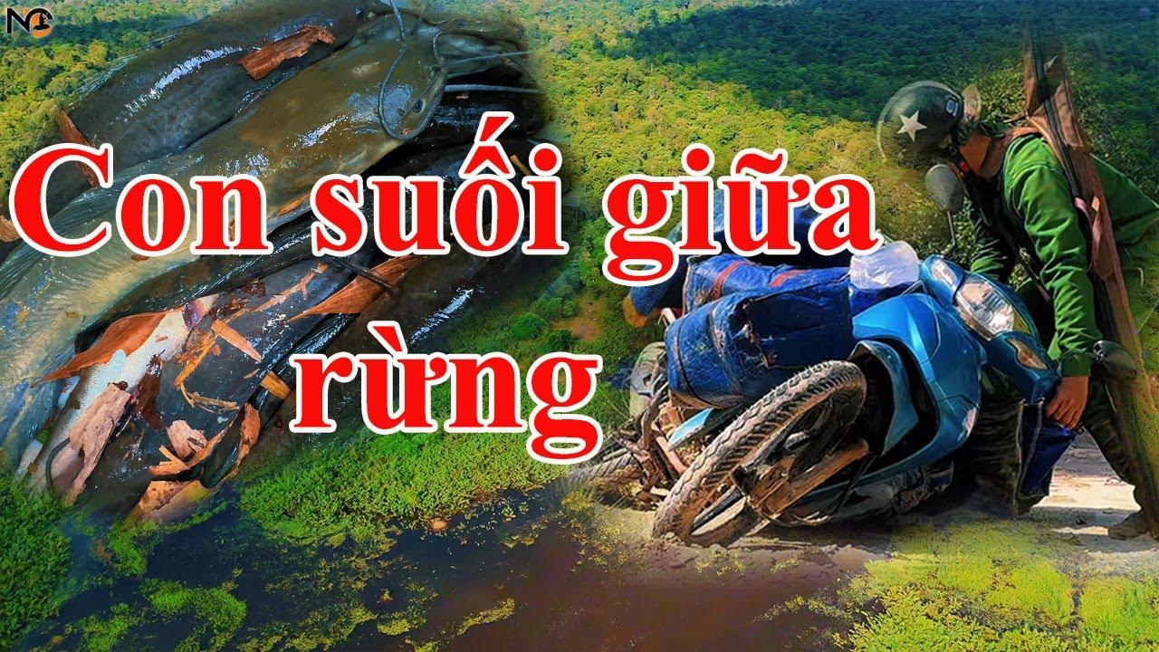 24 giờ rừng sâu nhiều bí ẩn