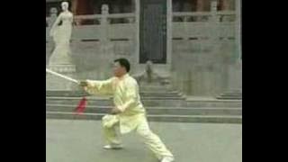 Taiji Sword - Chen Style (Zhang Dongwu)