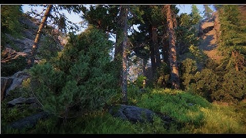 4K Test (Uncompressed Upload) | Book Of The Dead (Unity Demo)