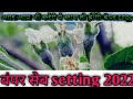 Royel apple fruit setting 2022|रॉयल के सेब में fruit सेटिंग 2022|सेब setting 2022