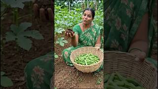 fresh farm vegetable organic khaad se ugai hui