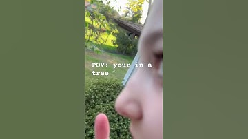 Thumbnail of POV: your in a tree 🌳 #nature  #fypp