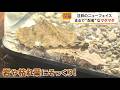 【とべとべZOO】とべ動物園 注目の”ニューフェイス”をご紹介!