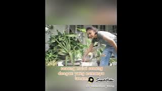 yuni shara ngobrol sama tanamanya biar cepat besar