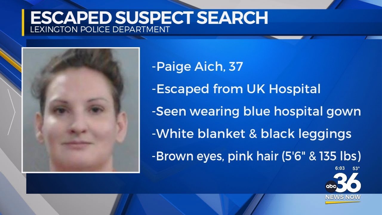 Escaped suspect search in Lexington - YouTube